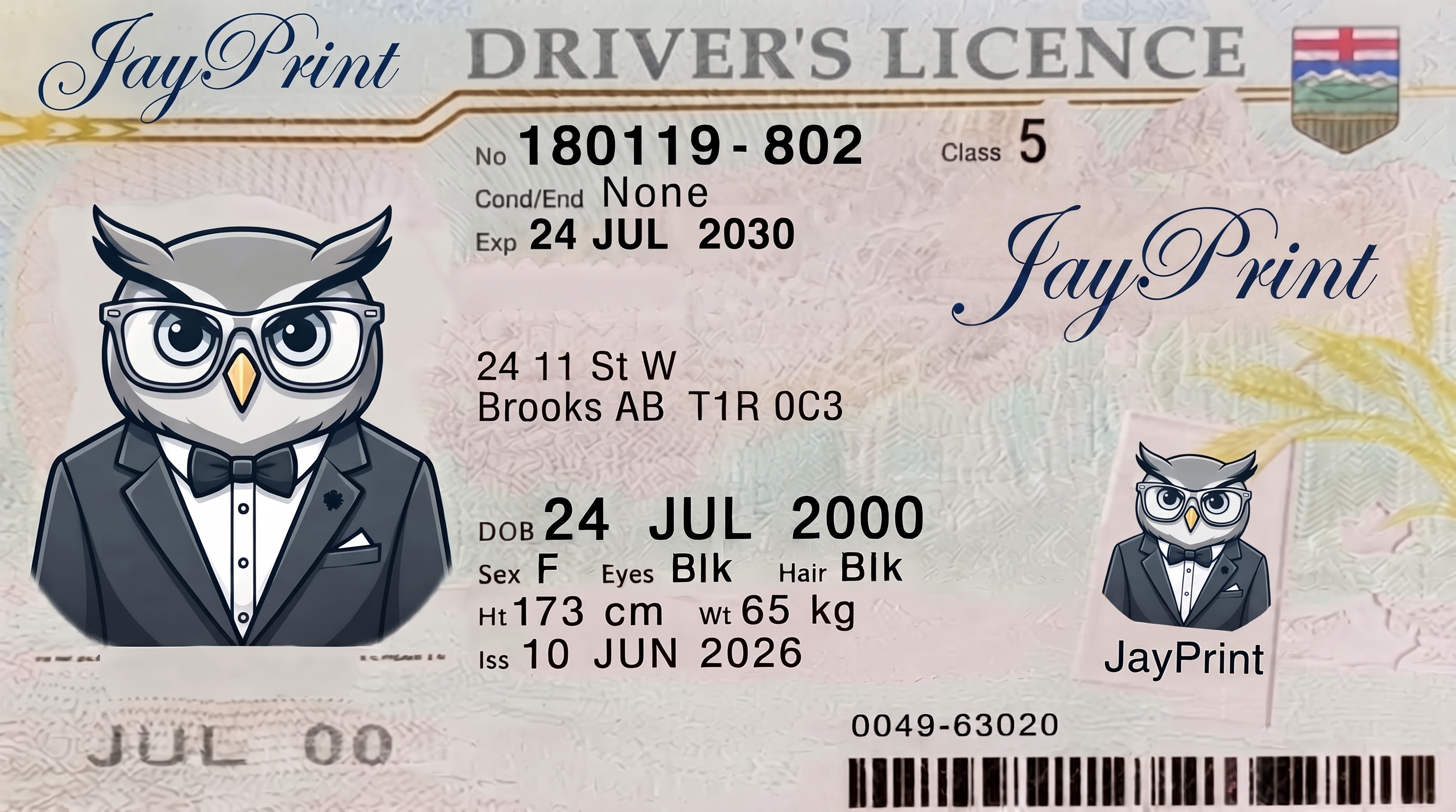 Shop Fake IDs