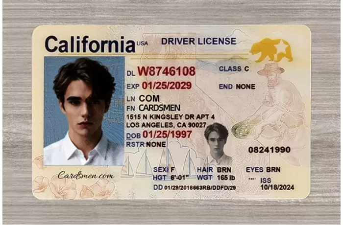 California Fake ID (Teslin)