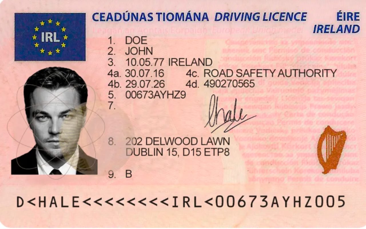Ireland Fake ID — Scannable Replica