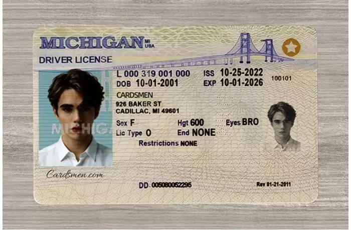 Michigan Fake ID (Teslin)